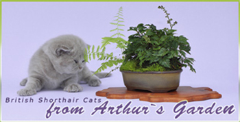 Arthur's Garden