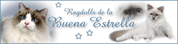 Buena Estrella