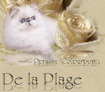 De la Plage