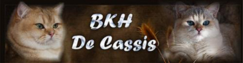 De Cassis