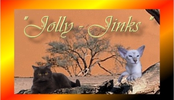Jolly Jinks