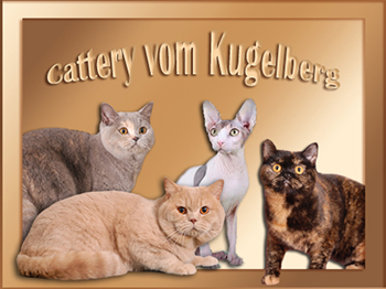 Kugelberg