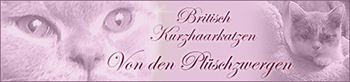 Plueschzwerge