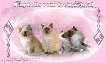 Steinachtal