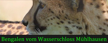 Wasserschloss